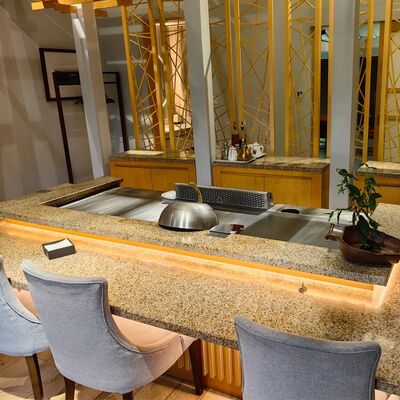 বাণিজ্যিক Teppanyaki গ্রিল টেবিল সঙ্গে খাদ্য গ্রেড খাদ ইস্পাত এবং বৈদ্যুতিক / গ্যাস গরম 1200 * 850 * 800mm আকার