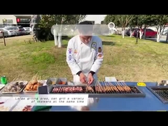 10KW স্ট্যান্ড ধোঁয়াবিহীন স্টেইনলেস স্টিল BBQ গ্রিলস